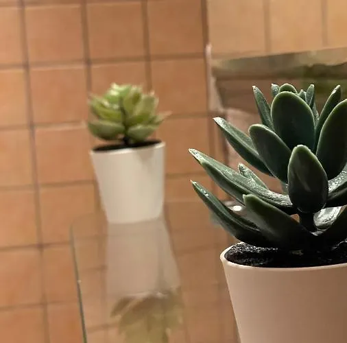 شقة Terrace Balcony Downtown Delight Old Town Oasis Center Universitate Square Old Town بوخارست